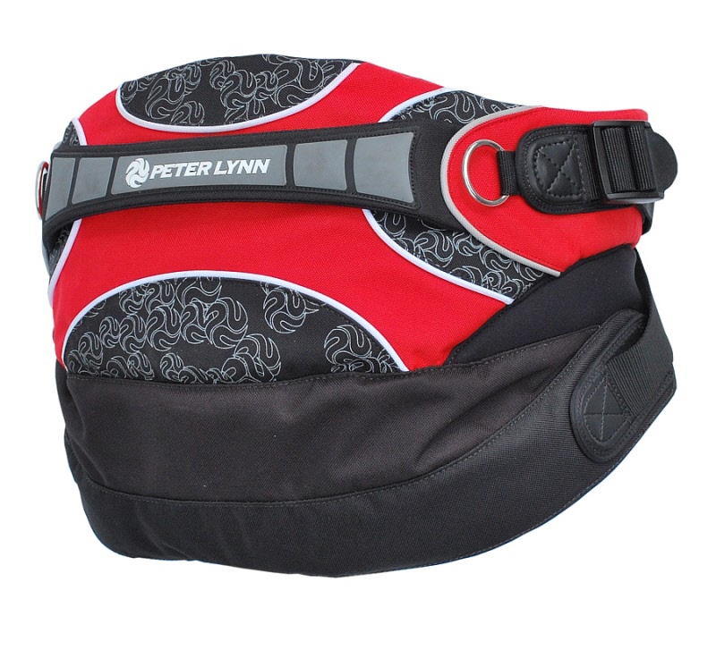 Harnais windsurf ION Fuel - Seat